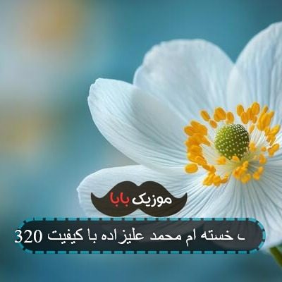 آهنگ خسته ام محمد علیزاده با کیفیت 320