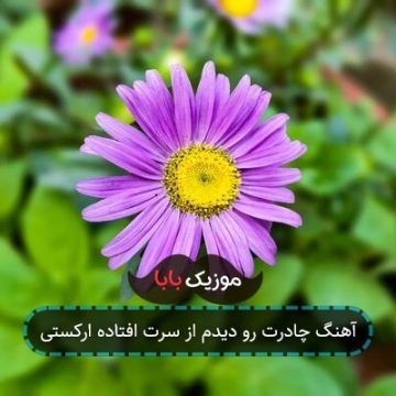 آهنگ چادرت رو دیدم از سرت افتاده ارکستی