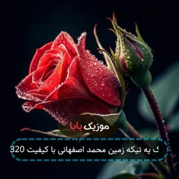 آهنگ یه تیکه زمین محمد اصفهانی با کیفیت 320 آهنگ یه تیکه زمین محمد اصفهانی با کیفیت 320