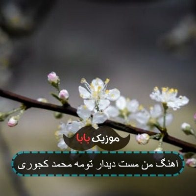 اهنگ من مست دیدار تومه محمد کجوری اهنگ من مست دیدار تومه محمد کجوری