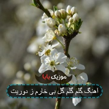 آهنگ گلم گلم گل بی خارم ز دوریت آهنگ گلم گلم گل بی خارم ز دوریت