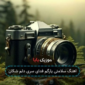 اهنگ سلامتی یارگم فدای سری دلم شکان اهنگ سلامتی یارگم فدای سری دلم شکان