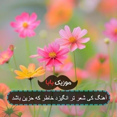 آهنگ کی شعر تر انگیزد خاطر که حزین باشد