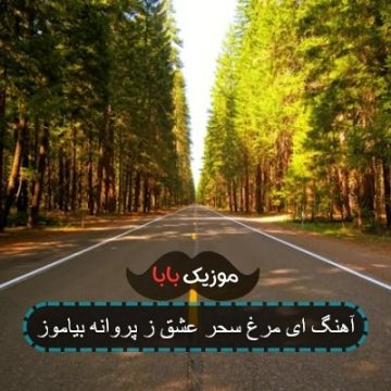 آهنگ ای مرغ سحر عشق ز پروانه بیاموز