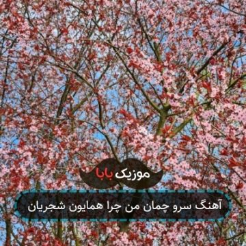 آهنگ سرو چمان من چرا همایون شجریان