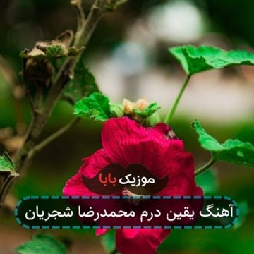 آهنگ یقین درم محمدرضا شجریان