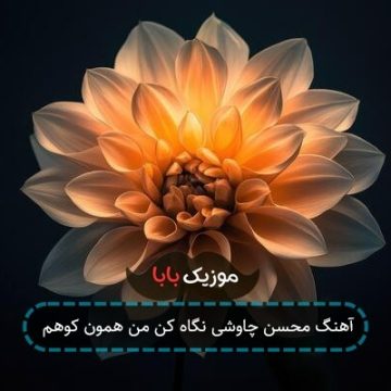 آهنگ محسن چاوشی نگاه کن من همون کوهم آهنگ محسن چاوشی نگاه کن من همون کوهم