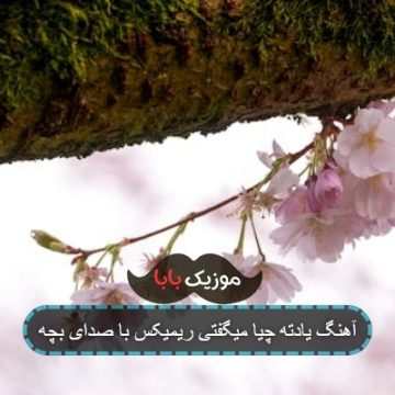 آهنگ یادته چیا میگفتی ریمیکس با صدای بچه آهنگ یادته چیا میگفتی ریمیکس با صدای بچه