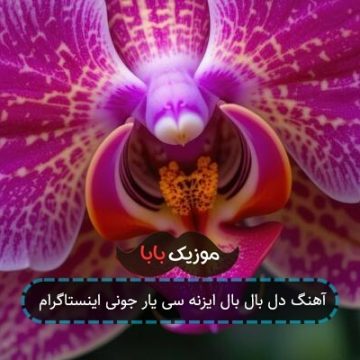 آهنگ دل بال بال ایزنه سی یار جونی اینستاگرام
