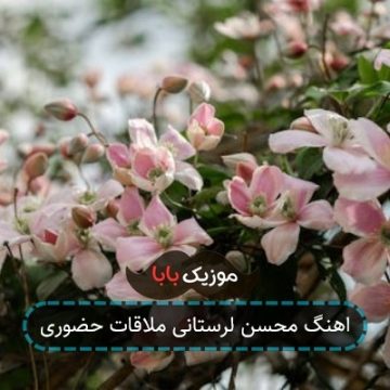 اهنگ محسن لرستانی ملاقات حضوری