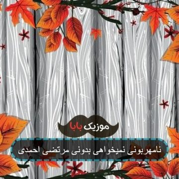 نامهربونی نمیخواهی بدونی مرتضی احمدی نامهربونی نمیخواهی بدونی مرتضی احمدی
