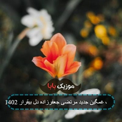 آهنگ غمگین جدید مرتضی جعفرزاده دل بیقرار 1402