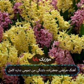آهنگ مرتضی جعفرزاده دلتنگی من تمومی نداره کامل
