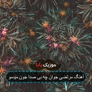 آهنگ مرتضی جوان چه بی صدا جون میدمو