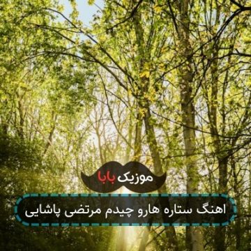 اهنگ ستاره هارو چیدم مرتضی پاشایی