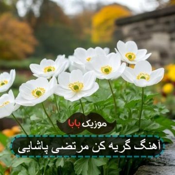 آهنگ گریه کن مرتضی پاشایی