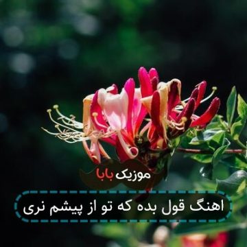 اهنگ قول بده که تو از پیشم نری