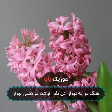 آهنگ مو به دیوار دل دلبر نوشتم مرتضی جوان