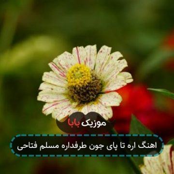 اهنگ اره تا پای جون طرفداره مسلم فتاحی