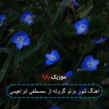 اهنگ شور برنو گروته از مصطفی ابراهیمی اهنگ شور برنو گروته از مصطفی ابراهیمی