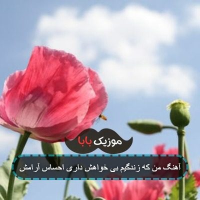آهنگ من که زندگیم بی خواهش داری احساس آرامش آهنگ من که زندگیم بی خواهش داری احساس آرامش