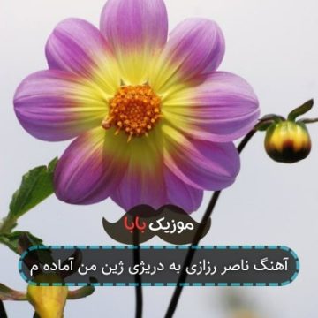 آهنگ ناصر رزازی به دریژی ژین من آماده م آهنگ ناصر رزازی به دریژی ژین من آماده م