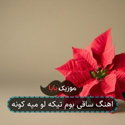اهنگ ساقی بوم تیکه لو میه کونه اهنگ ساقی بوم تیکه لو میه کونه
