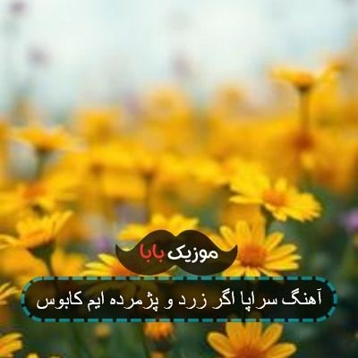 آهنگ سراپا اگر زرد و پژمرده ایم کابوس آهنگ سراپا اگر زرد و پژمرده ایم کابوس