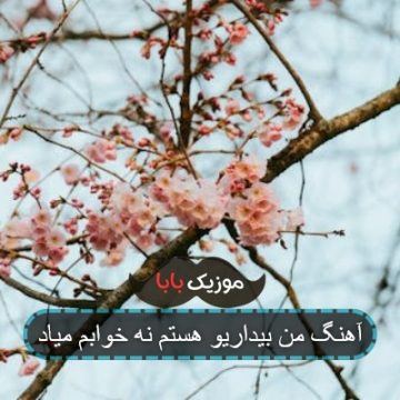 آهنگ من بیداریو هستم نه خوابم میاد
