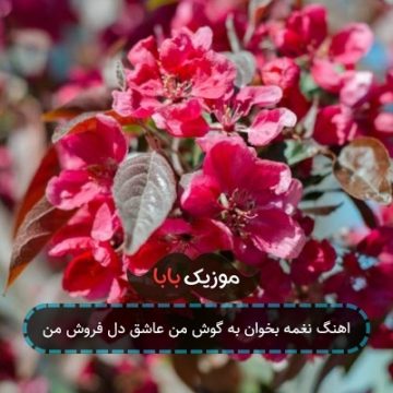 اهنگ نغمه بخوان به گوش من عاشق دل فروش من