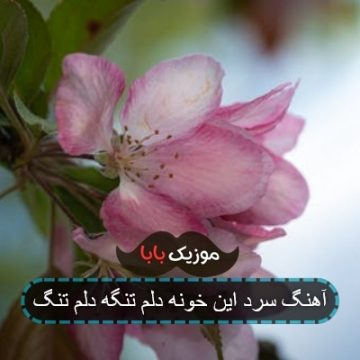 آهنگ سرد این خونه دلم تنگه دلم تنگ آهنگ سرد این خونه دلم تنگه دلم تنگ