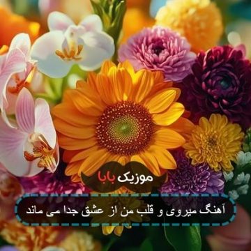 آهنگ میروی و قلب من از عشق جدا می ماند