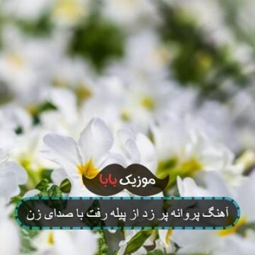 آهنگ پروانه پر زد از پیله رفت با صدای زن آهنگ پروانه پر زد از پیله رفت با صدای زن