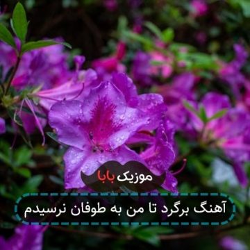 آهنگ برگرد تا من به طوفان نرسیدم