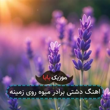 اهنگ دشتی برادر میوه روی زمینه