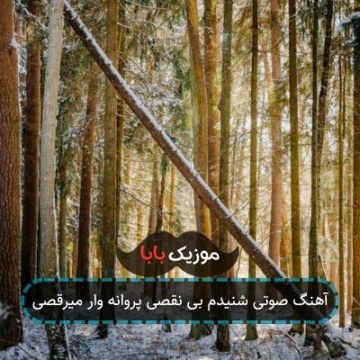 آهنگ صوتی شنیدم بی نقصی پروانه وار میرقصی آهنگ صوتی شنیدم بی نقصی پروانه وار میرقصی