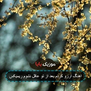 اهنگ ارزو کردم بعد از تو عاقل نشوم ریمیکس