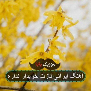 اهنگ ایرانی نازت خریدار نداره