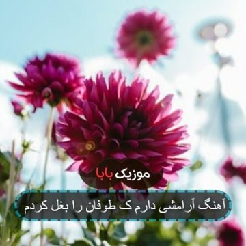 آهنگ آرامشی دارم ک طوفان را بغل کردم