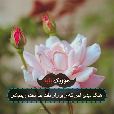 آهنگ دیدی اخر که ز پرواز دلت جا ماندم ریمیکس آهنگ دیدی اخر که ز پرواز دلت جا ماندم ریمیکس