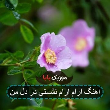 آهنگ آرام آرام نشستی در دل من ای آشنا