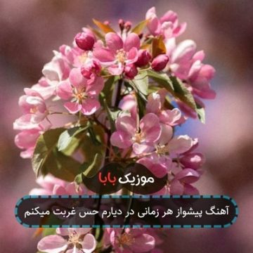 آهنگ پیشواز هر زمانی در دیارم حس غربت میکنم آهنگ پیشواز هر زمانی در دیارم حس غربت میکنم