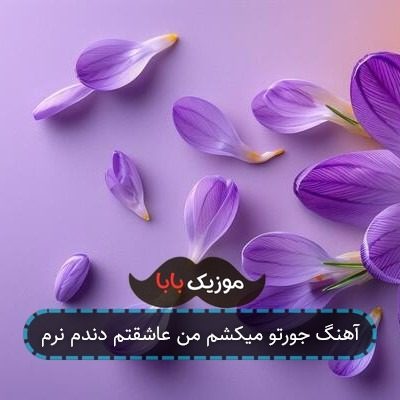 آهنگ جورتو میکشم من عاشقتم دندم نرم آهنگ جورتو میکشم من عاشقتم دندم نرم