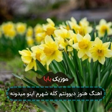 اهنگ هنوز دیوونتم کله شهرم اینو میدونه اهنگ هنوز دیوونتم کله شهرم اینو میدونه