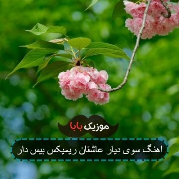 اهنگ سوی دیار عاشقان ریمیکس بیس دار