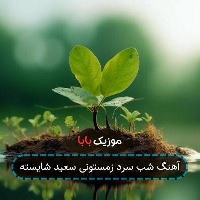 آهنگ شب سرد زمستونی سعید شایسته آهنگ شب سرد زمستونی سعید شایسته