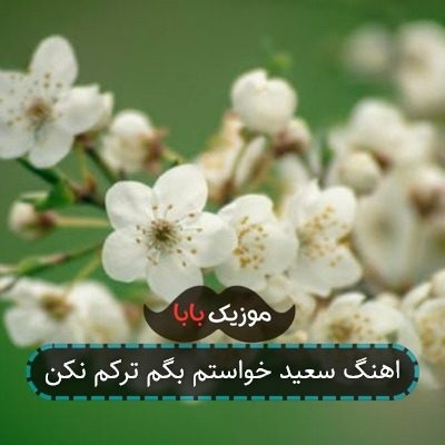 اهنگ سعید خواستم بگم ترکم نکن اهنگ سعید خواستم بگم ترکم نکن