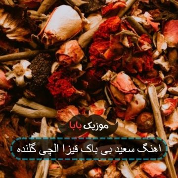 اهنگ سعید بی باک قیزا الچی گلنده اهنگ سعید بی باک قیزا الچی گلنده