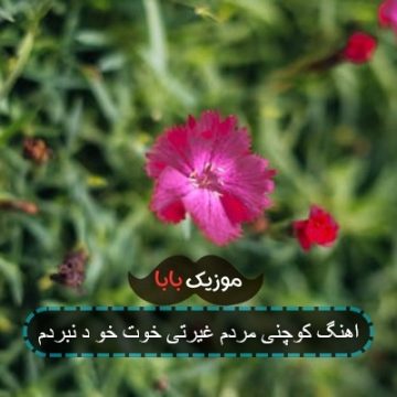 اهنگ کوچنی مردم غیرتی خوت خو د نبردم