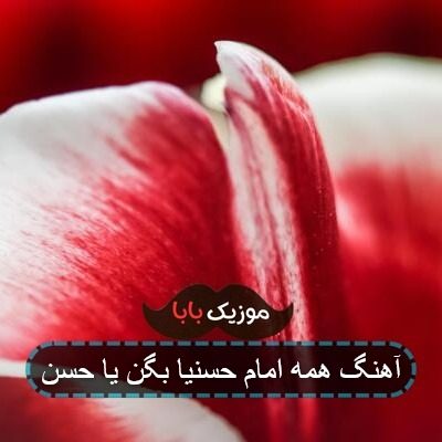 آهنگ همه امام حسنیا بگن یا حسن
